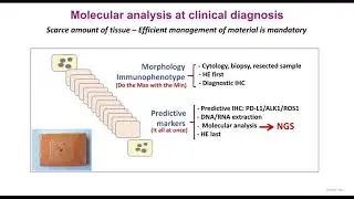 The paradigm of lung cancer from therapy selection to resistance monitoring