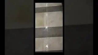 Birthday Hall Cleaning✨ || Soap water Deep Washing✅ || B & A Transformation #BirthdayHall #Cleaning