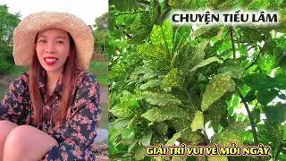 Chuyện cười tiếu lâm hay nhất, những tình huống khó đỡ cực hài nghe vui vẻ giải trí