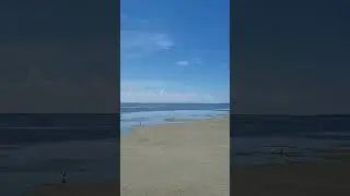 Video #295. Bay Access, South Padre Island TX. Aug 18, 2023