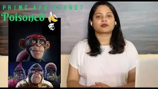 Prime Ape Planet NFT project review