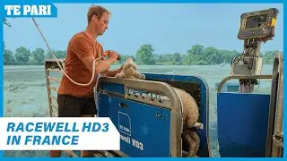 Инновации Новой Зеландии для европейских фермеров | Racewell Sheep Handler во Франции