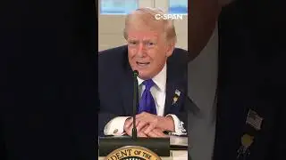 Secret Service, lies and video tapes