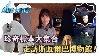 珍奇標本大集合 走訪斯瓦爾巴博物館！【北極大探險】