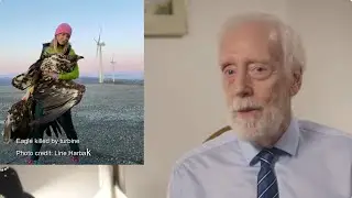 TIME TO TAKE DOWN INDUSTRIAL WIND TURBINES!