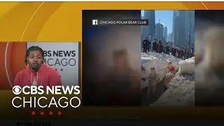 2026 Chicago Polar Bear Plunge entering 25th year