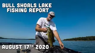 Bull Shoals Lake Fishing Report | Mid August 2020 | Del Colvin