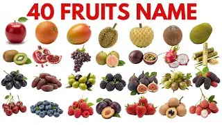 Learn 40 Fruits Name |Cute Kids Exploring Fruits | Nature Garden Fruit Learning Video