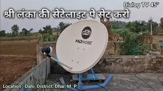 Dialog 45 set on 2 feet Small Antenna