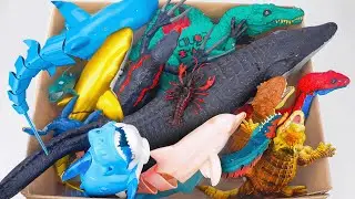 [🐳toy asmr🐳] Zuru Alive Robo Blue Shark & Nino Fish & RC Crocodile & Aquarium ASMR