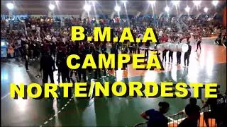 TOP 10 - BANDAS E FANFARRAS DE 2017