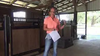 Alpha Horse Training Myth's & Manipulation: Debunking the Popular Propaganda