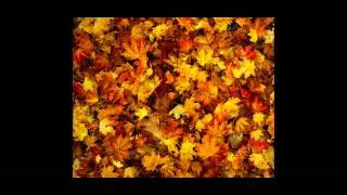 Childish Gambino - Not Going Back [LYRICS]