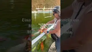 Рыбок кормят из бутылочки?? #путешествия #туризм #колумбия #short313. Январь2026