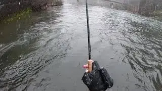Watershed Fly Shop: Oregon Winter Trout Spey Fishing