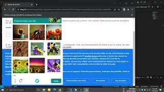 eBay FR - Working Python script or bot