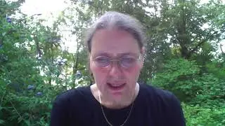Rudolf Steiner 1917: D&auml;monische Universalimpfung gegen die Seele
