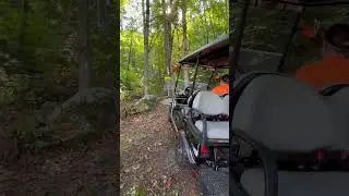 Cart Dart🎯