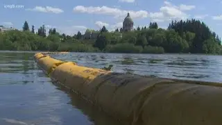 Oil spill cleanup trudges on outside old Olympia Brewery
