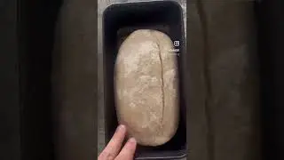 Sourdough In A Loaf Pan