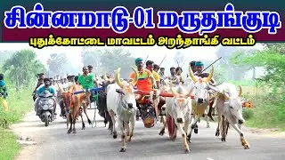 சின்னமாடு-01 மருதங்குடி || 21.12.2025 || Sinnamadu-01 Maruthangudi #perai_raj_digital #reklarace