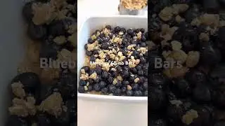 Blueberry Crumb Bars 🫐🌞✨The BEST Summer Dessert!! 🙌🏻#summer #dessert #blueberry #fypシ #eats