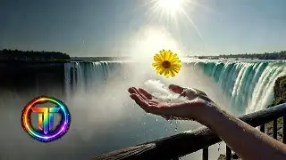 LOVE FOR DEEP REST | Emotional Calm Sleep Ambience for Inner Balance & Nervous Ease | 90 Min