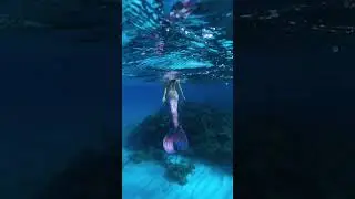 A real mermaid sits at the oceans surface&hellip; #mermaid #beach #ocean #bahamas #travel #underthesea #h2o