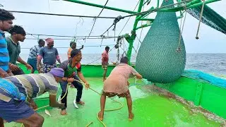 OMG❗Trawler Net Fishing 💢 Indian Fishing Adventures Full Day Video 