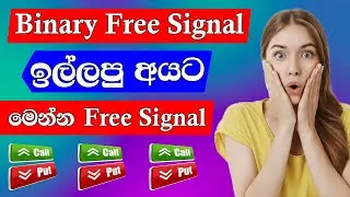 free binary signal group | join free binary telegram channel | no loss |100% free binary signal