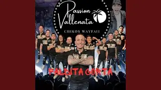 FALDITA CORTITA