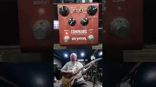 Dave Grohl 335 Clean Amp Strymon Compadre treble boost