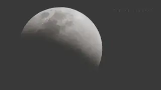 Lunar Eclipse & Sounds of a Kalahari Night | Silent Safari | Botswana