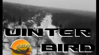 Winter Bird RC Plane - On board Footage in a Snow Storm