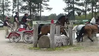 55 HEIBING Lars, DEN, Horse Four in hand CAIO4# H4, Kronenberg NED, Marathon Ob 2, 18 04 2026