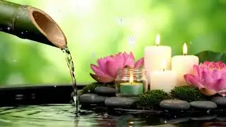 Relaxing Piano & Nature Sounds 🌿 Sleep Music for Sweet Dreams