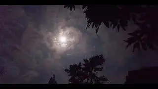 Moon Night ||| Bangla song ♪ |||| Nature