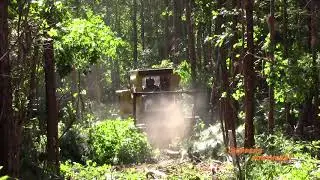 Rayco C120R and C200 Forestry Mulchers Deep in the Woods