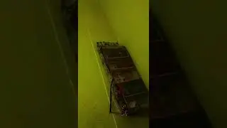 Muncul bayangan hantu di tembok