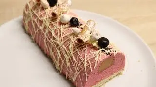 BÛCHE FRAMBOISE ET INSERT MANGUE PASSION FACILE (CUISINERAPIDE)