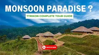 IS Wayanad the MONSOON Paradise You've Been Searching For?