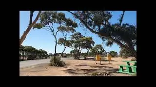 Nullarbor Trip Free Camp 10 Baxter's Rest Area Between Caiguna and Balladonia. Well signed.