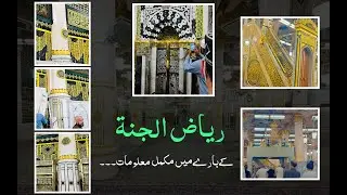 Exploring Riaz ul Jannah: The Garden of Paradise in Masjid al-Nabawi by Kamran Javaid