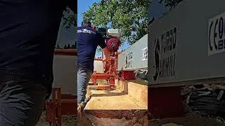 💥 Japanese ZELKOVA vs M6 WARRIOR 💪