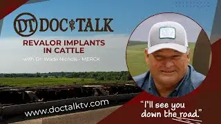 DocTalk Ep 500 - Revalor Implants with Dr. Wade Nichols