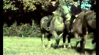 Dressuur- en springwedstrijden