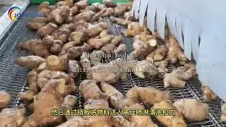Automated production line for pre made and processed clean vegetables