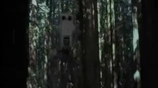 Star Wars Chicken Walker