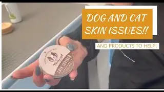 Dog & Cat Skin Care Tips + 4 Must-Have Products! 🐾✨
