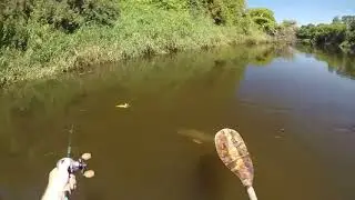 Double Propeller Frog Soft Bait